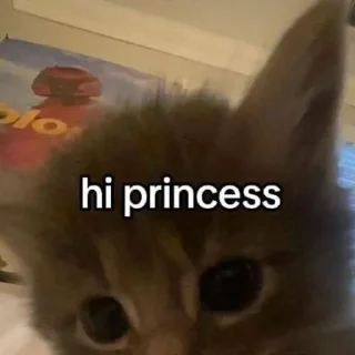 Sticker from каты