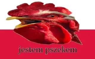 Sticker from polski kretyn