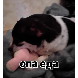 🤤 emoji осек Telegram sticker 20 of 53