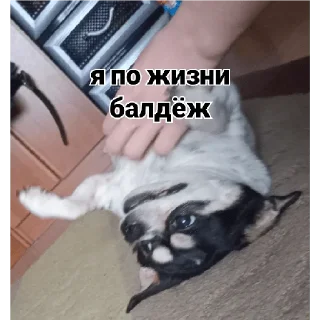 🙃 emoji осек Telegram sticker 12 of 53