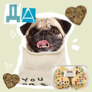 Sticker from Dog_ToP🐶