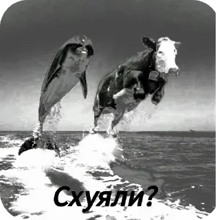 👍 emoji БОЛЬШЕ ⇨ @CLOOBHUB БОЙЦОВСКИЙ КЛУБ ОСТРЫЕ КОЗЫРЬКИ Telegram sticker 11 of 65