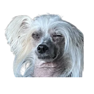 😑 emoji дикси Telegram sticker 22 of 22