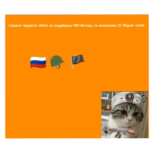 👍 emoji PMC Wagner Group Telegram sticker 24 of 61