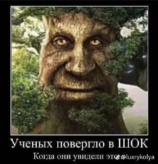 Sticker from Мудрое дерево мурло