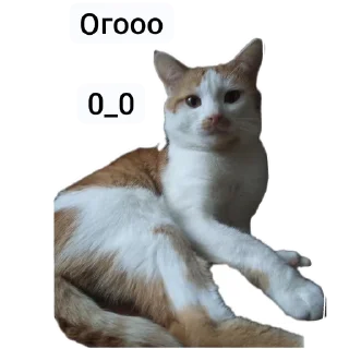 😱 emoji Кот Кузя чееек Telegram sticker 6 of 7