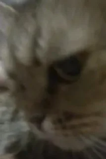 🤍 emoji синдзи икари эй Telegram sticker 15 of 120