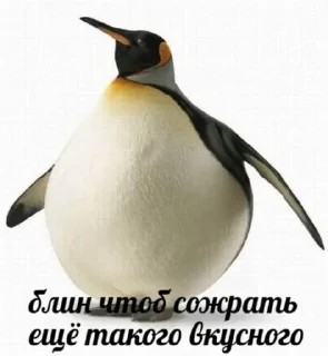 🎩 emoji Рпп😡 Telegram sticker 18 of 76