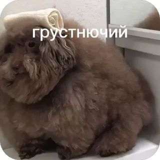 Sticker from Красивучи