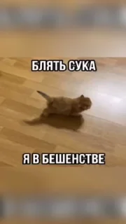 Sticker from Смешнявки