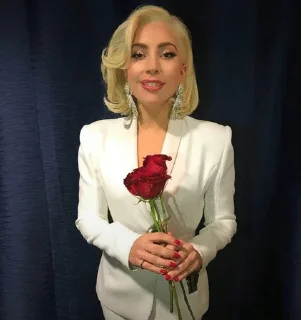 🌹 emoji lady gaga Telegram sticker 10 of 120