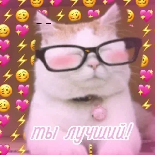 ❤️ emoji да, Ларёк, это кошки Telegram sticker 19 of 40