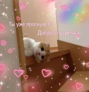 ☀️ emoji да, Ларёк, это кошки Telegram sticker 8 of 40