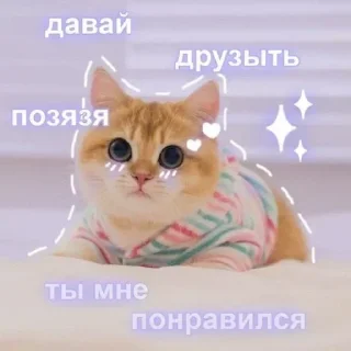 ❤️ emoji да, Ларёк, это кошки Telegram sticker 20 of 40