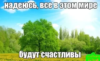 🌟 emoji Я ТАК ЛЮБЛЮ ЖИТЬ!!!! Telegram sticker 5 of 69