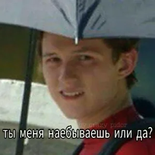 Sticker from Стикеры @graspie_news