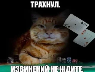 🌟 emoji я щас в штанишки Telegram sticker 12 of 17