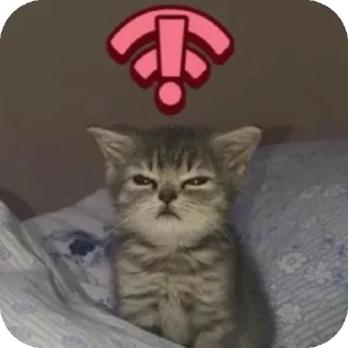 🐱 emoji Для коровка и херни Telegram sticker 8 of 40