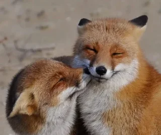 🌟 emoji мусорка Telegram sticker 22 of 92