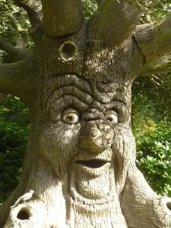 😲 emoji Trees with deep meaning Telegram sticker 3 of 34