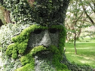 😑 emoji Trees with deep meaning Telegram sticker 7 of 34
