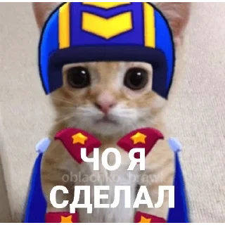 Sticker from НУЖНЫ ДЕТИ В БРАВЛ СТАРСЕ🎮🔫