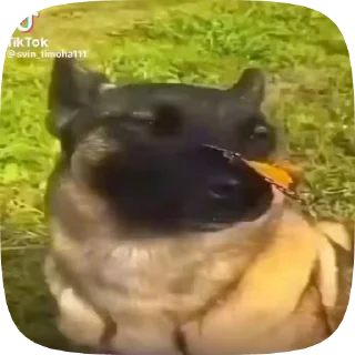 Sticker from Пошёл нахуй 2