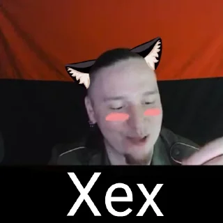 😸 emoji Котячий Рейх Telegram sticker 21 of 53