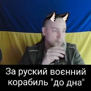 🛳 emoji Котячий Рейх Telegram sticker 24 of 53
