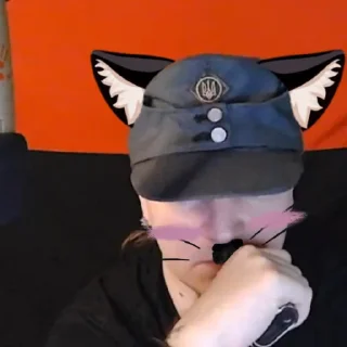 😊 emoji Котячий Рейх Telegram sticker 6 of 53