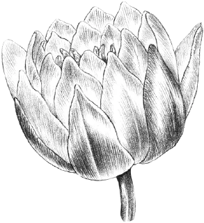 🌸 emoji Plants by juli Telegram sticker 4 of 39