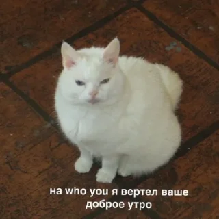 😡 emoji Китики Telegram sticker 8 of 17