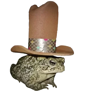 🤠 emoji Треш Telegram sticker 5 of 31