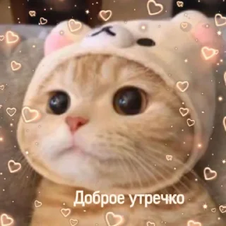 💖 emoji Люблю Telegram sticker 19 of 26