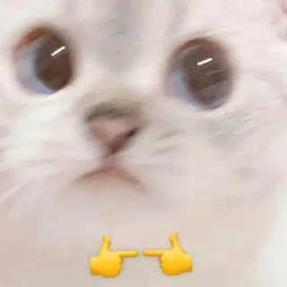💖 emoji Люблю Telegram sticker 5 of 26
