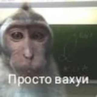 😒 emoji вахуи Telegram sticker 8 of 12