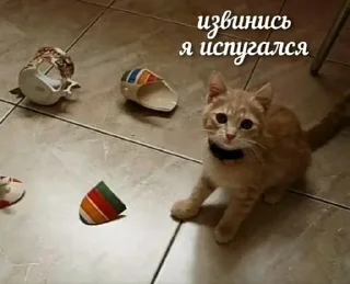 🌟 emoji Заебавшиеся коты 2 Telegram sticker 16 of 120