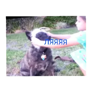 Sticker from Без названия...