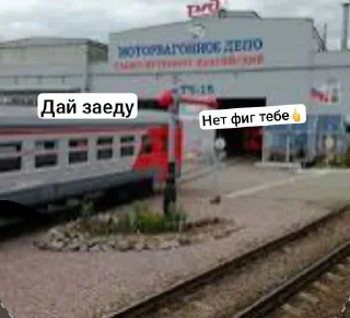 🤩 emoji ХЛАМОЗОВЫ САНКТ-ПЕТЕРБУРГ Telegram sticker 14 of 65