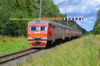 Sticker from ХЛАМОЗОВЫ САНКТ-ПЕТЕРБУРГ