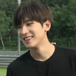 🍙 emoji ✦ ָ ֙⋆ wonwoo by @paradoxstickers Telegram sticker 15 of 25