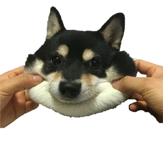 🐶 emoji Хочу спать Telegram sticker 8 of 34