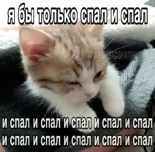 🌟 emoji дайте покурить Telegram sticker 15 of 50