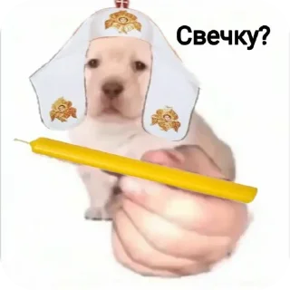🤨 emoji Orthodox Life Telegram sticker 10 of 15