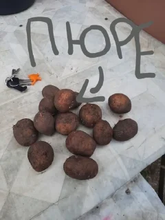 🥔 emoji карина как смысл жизни Telegram sticker 8 of 23