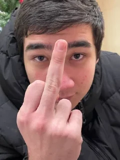 🌟 emoji набор да же  да же Telegram sticker 3 of 17