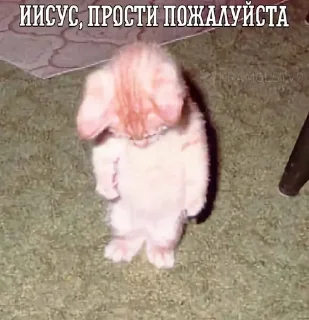 😔 emoji все новиопы попадают в рай Telegram sticker 17 of 46