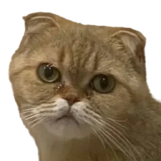 😢 emoji Вери найс гуд найс Telegram sticker 24 of 47