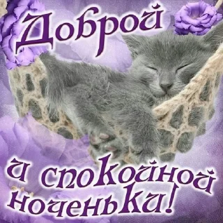 💋 emoji спокойной ночи/ доброе утро Telegram sticker 5 of 39