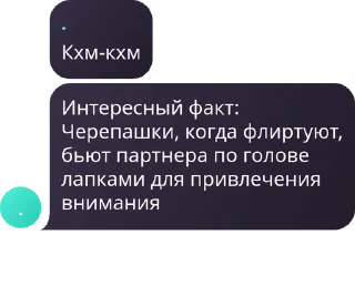 🌵 emoji ахуенные стики камерланских Telegram sticker 13 of 59